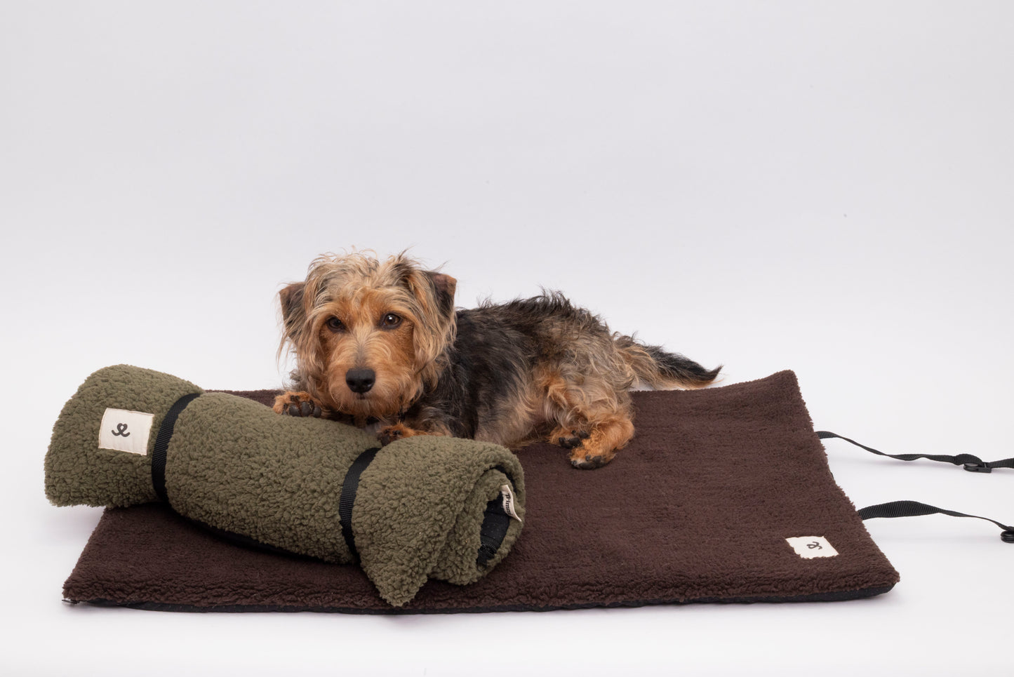 Teddy reiskleed chocolate