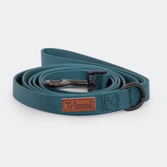 Nylon belt brown