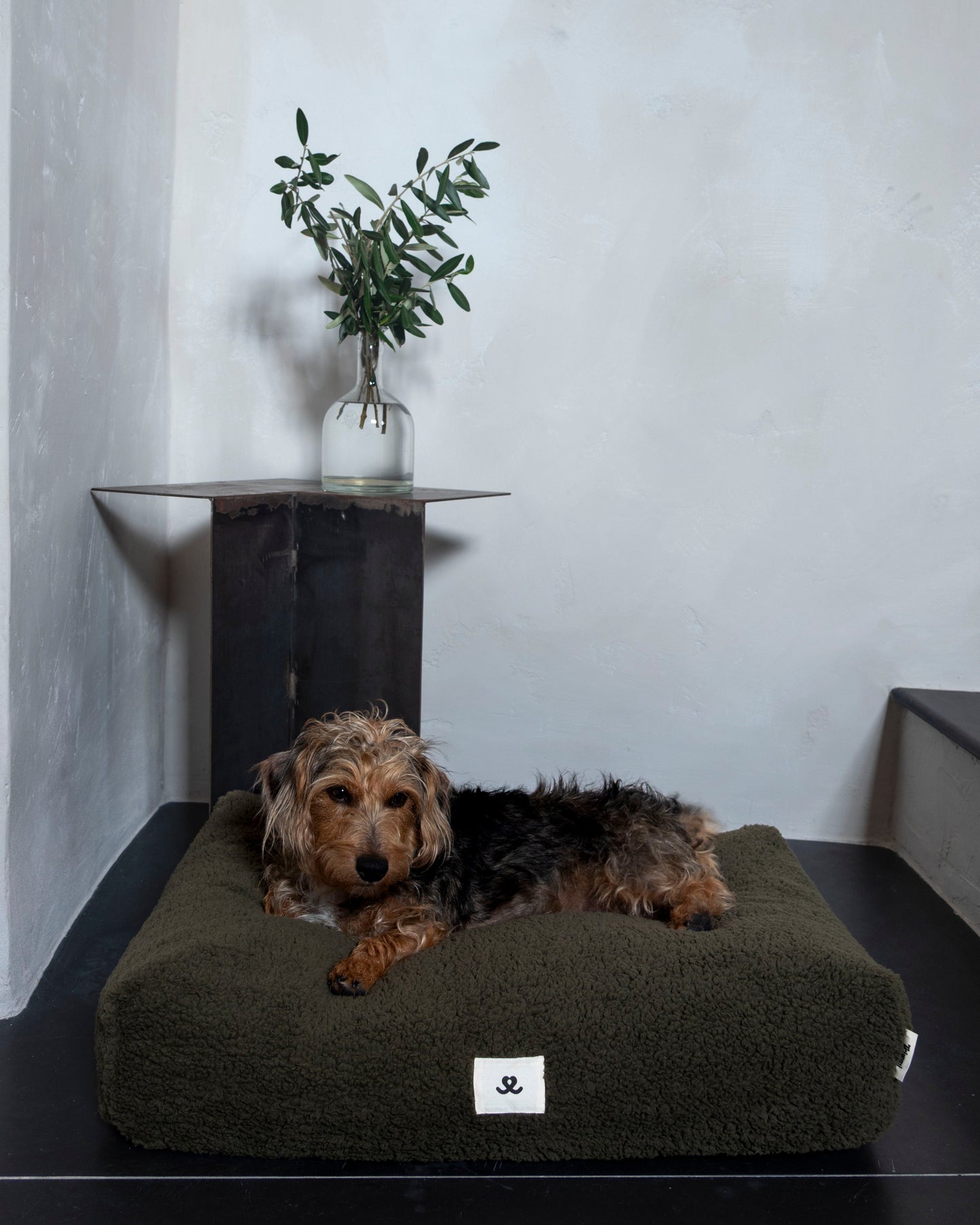 Teddy dog ​​bed olive