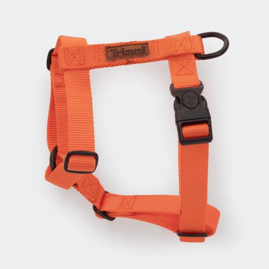Nylon harness green