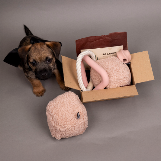 Nobleza Hondenspeelgoed - Pluche knuffel met piep Nobleza Hondenspeelgoed - Pluche knuffel met piep