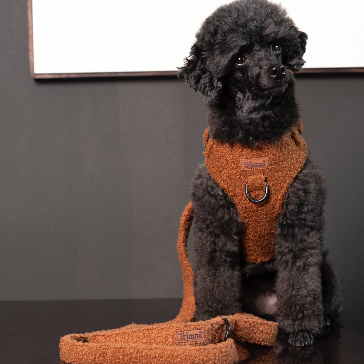 Teddy harness brown