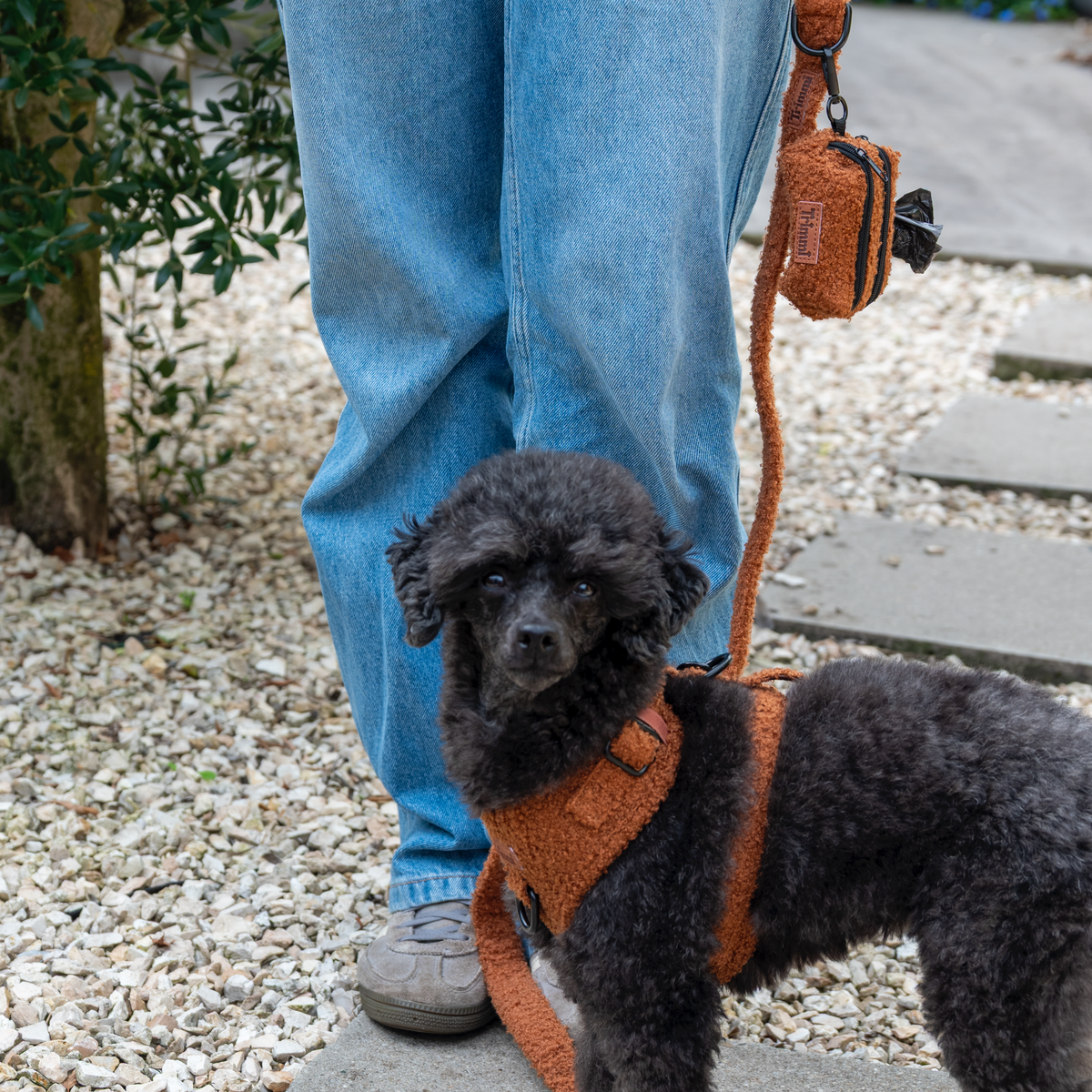 Poop bag carrier