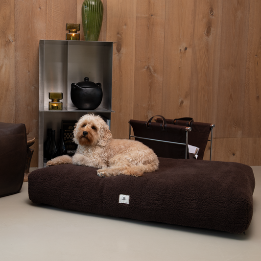 Teddy dog ​​bed chocolate