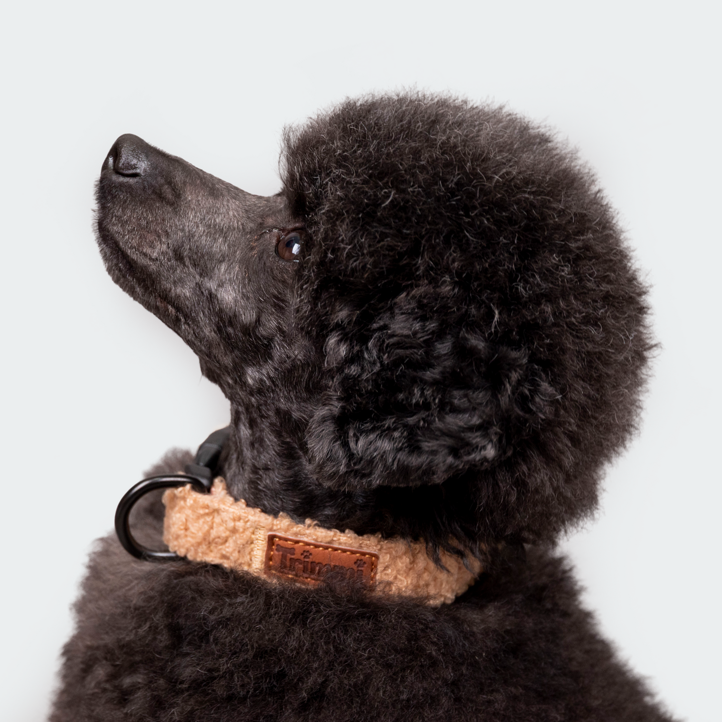 Teddy halsband beige