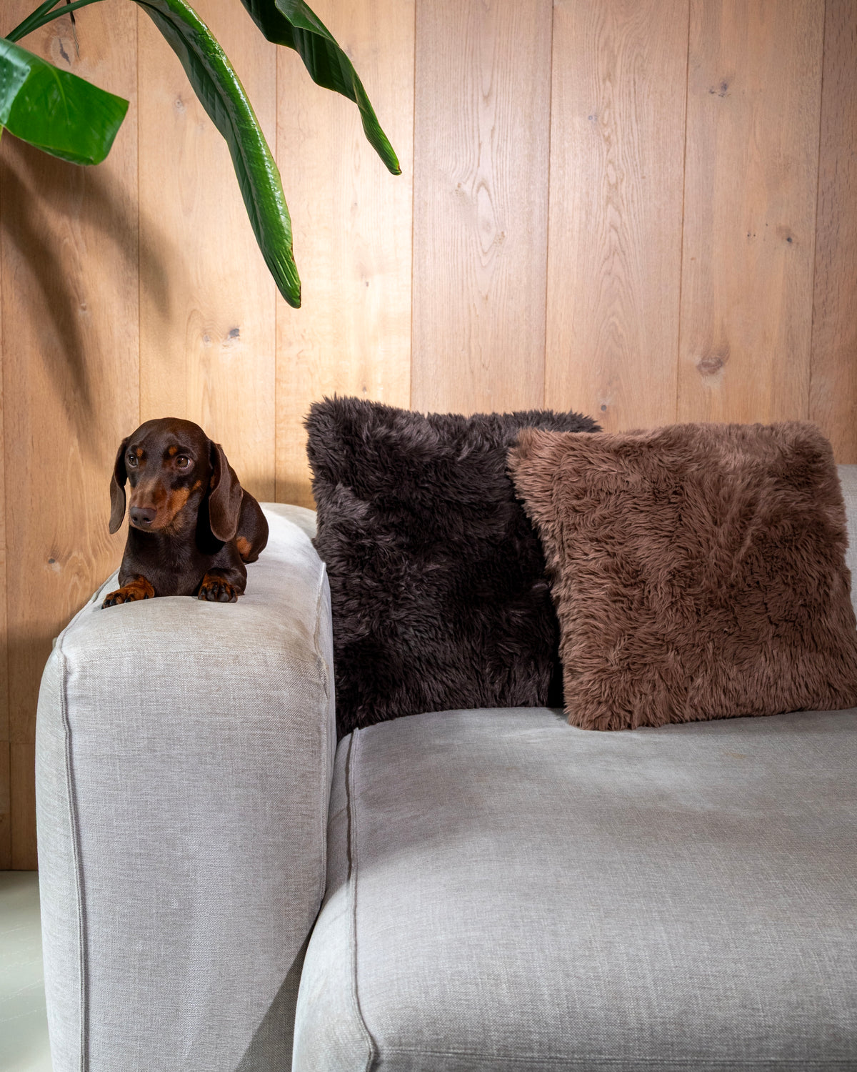 Interieur kussen faux fur mocha