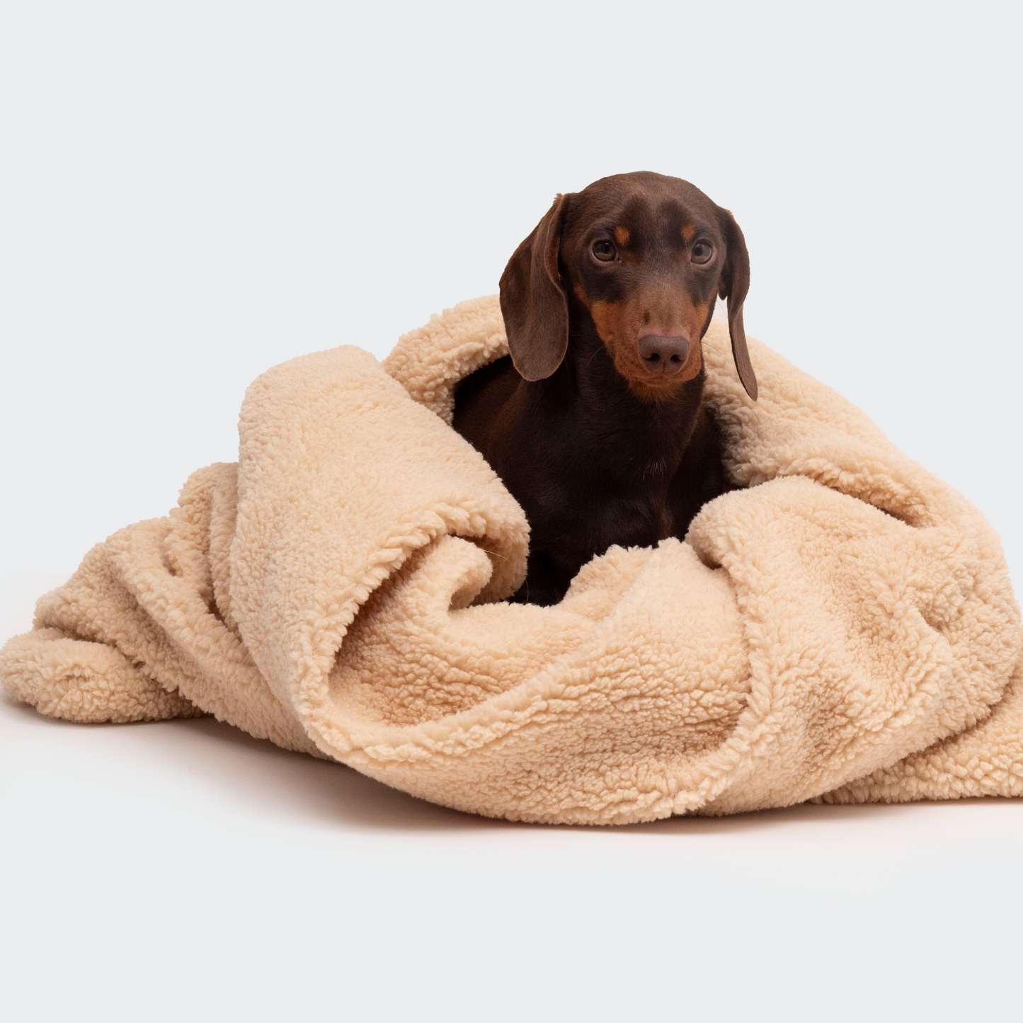 Teddy cuddle slaapzak beige
