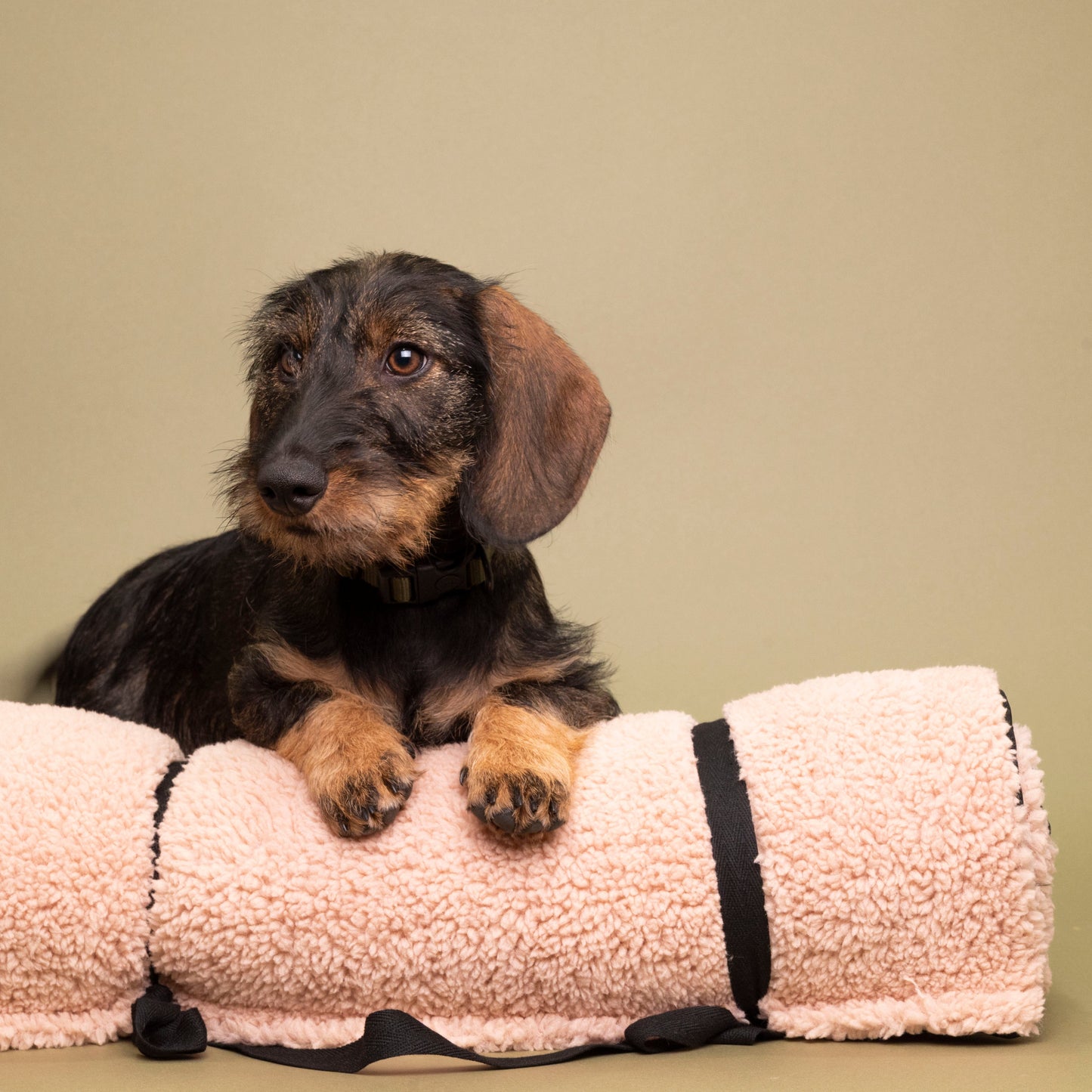Teddy travel blanket