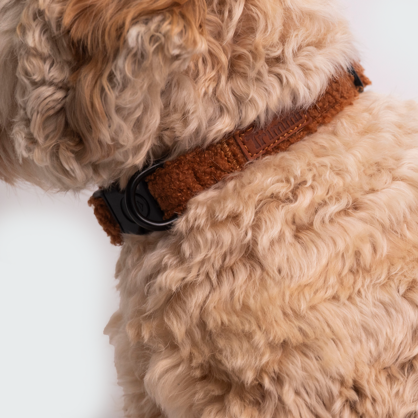 Teddy halsband bruin