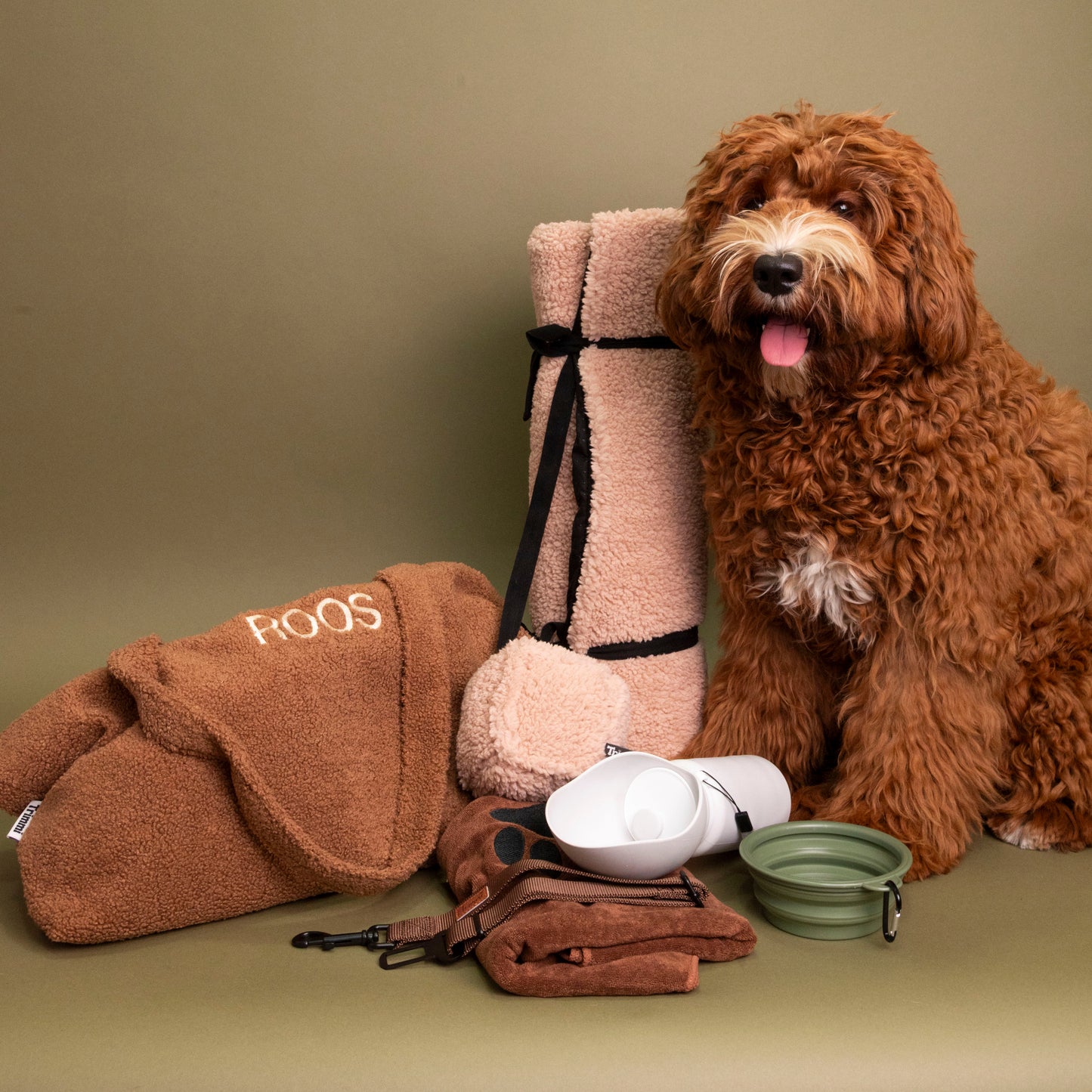 Teddy travel blanket