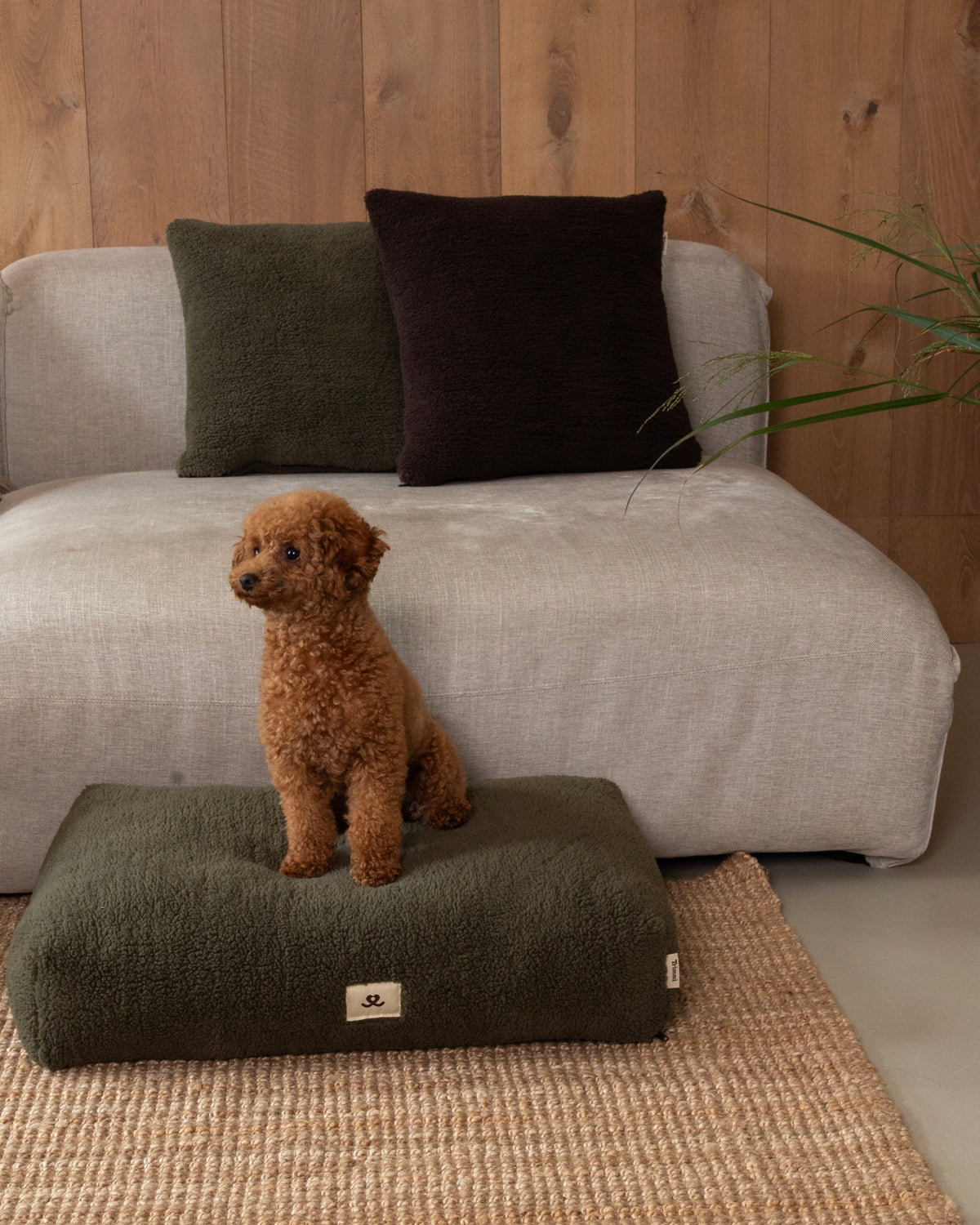 Interieur kussen teddy olive
