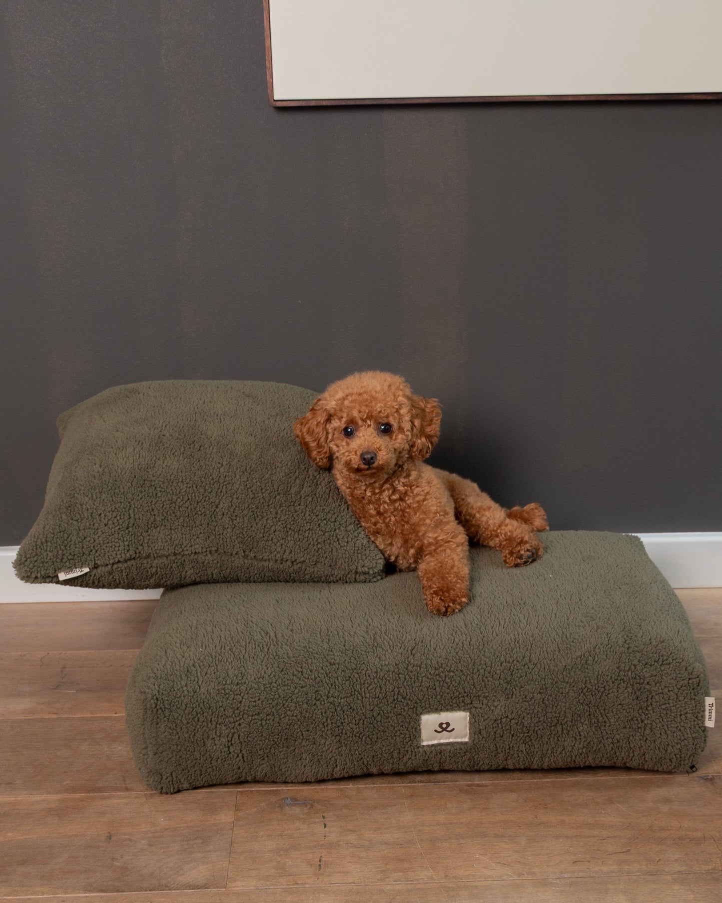 Interieur kussen teddy olive