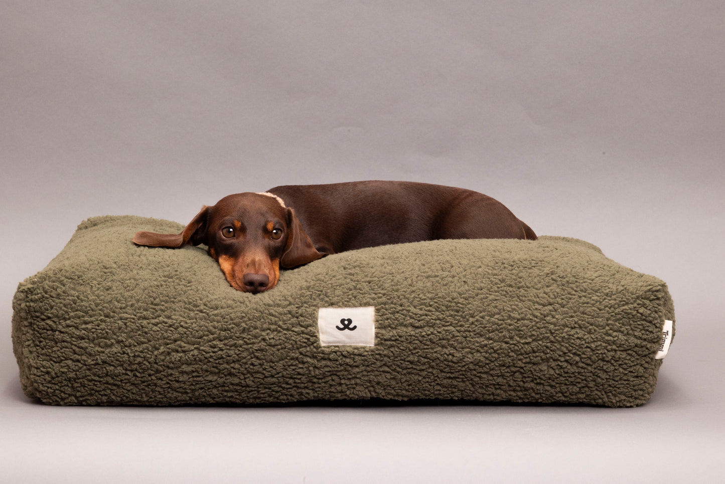 Teddy dog ​​bed olive